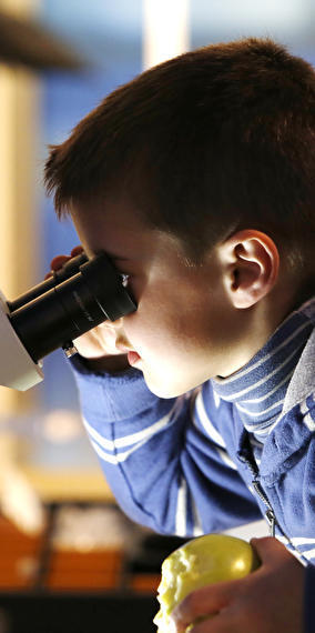 Researchers' Days, become a budding scientist