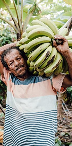 Les maux de notre alimentation