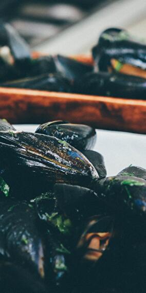 Mussels evening