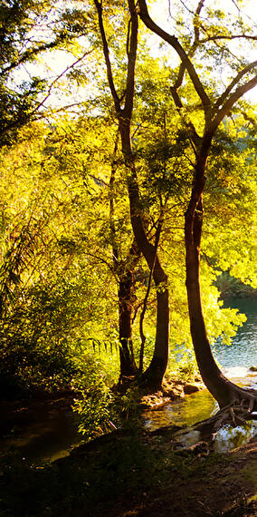 Sortie guidée : Les marais de heinch