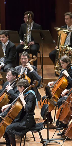 Concert clarinet ensemble zigoro