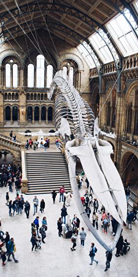 Gravé pour l'Eternité - Journées Européennes de l'archéologie