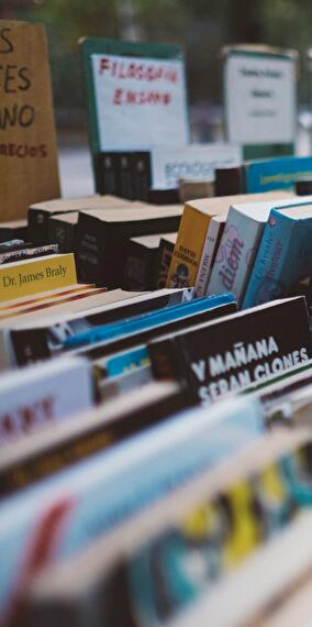 Foire aux Livres 2024