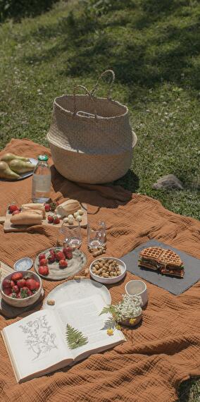 Picnic at the Park! - Montigny Gardens 2024