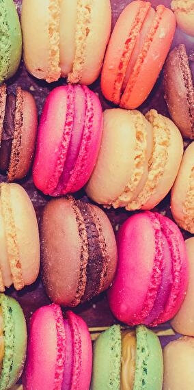 Atelier Macarons : Framboise - Vanille - Pistache