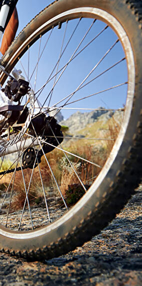 Tous sur le vélo