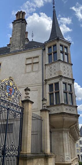 Guided tours of the grand ducal Palace