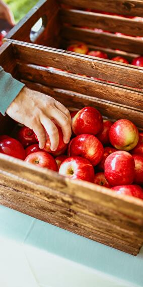 Tout Rachecourt dans les pommes