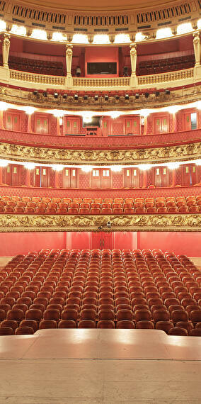 Guided tour of the Philharmonie in English