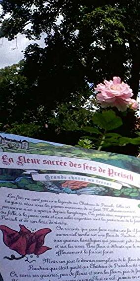 Treasure Hunt: The Sacred Flower of the Fairies