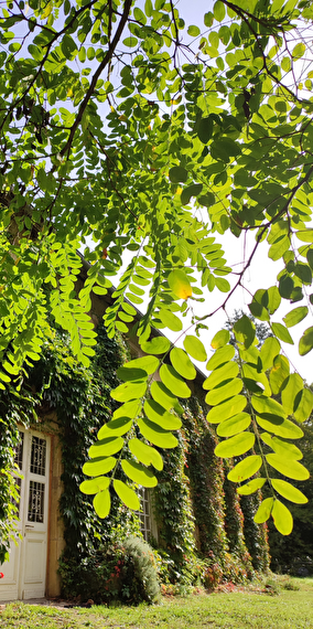 Explore le Château de Preisch et ses fabuleux jardins