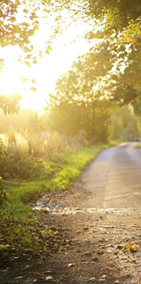 Corrida du Bois des Isles