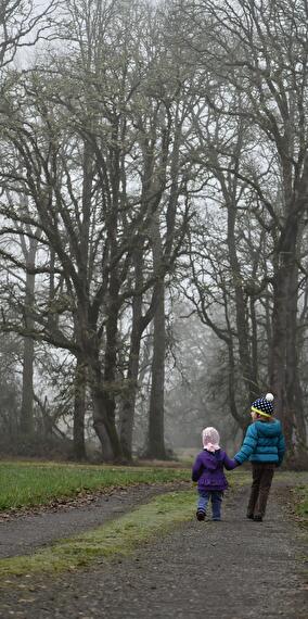 Discover the Trees of "Gaalgebierg" Park