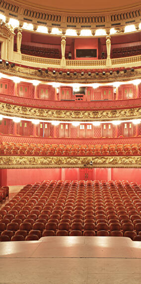 Guided tour of the Philharmonie in English