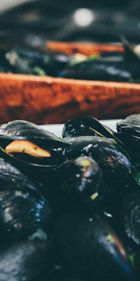 Unlimited Mussels