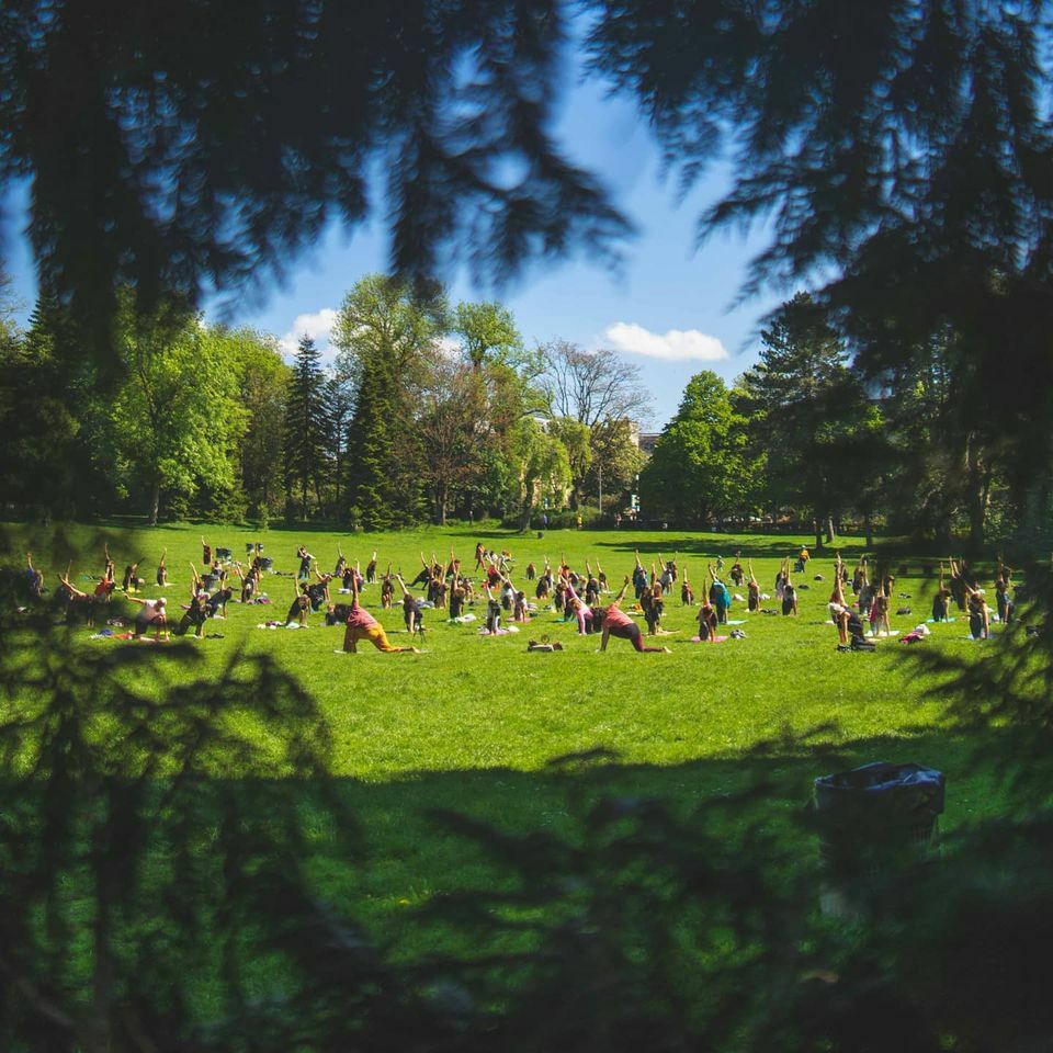 Yoga en plein air Kinegswiss 2024