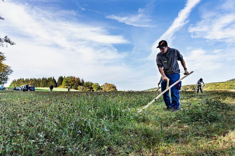 Workshop: The scythe