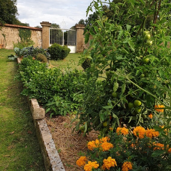 Rendez-vous aux jardins