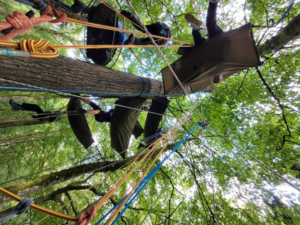 Rechercher et dormir dans les arbres