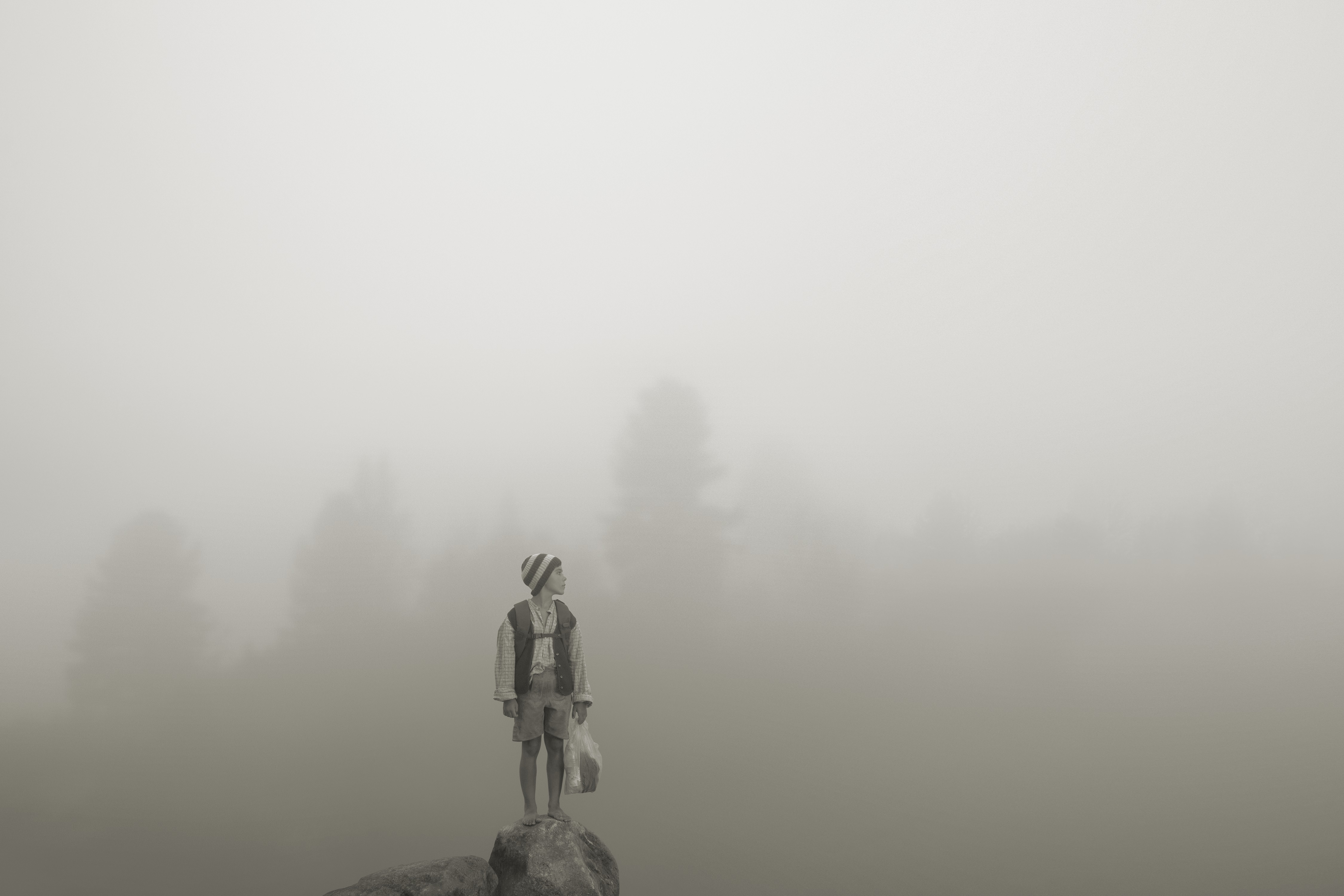 Dans la forêt : Dans le brouillard 2020, photographie