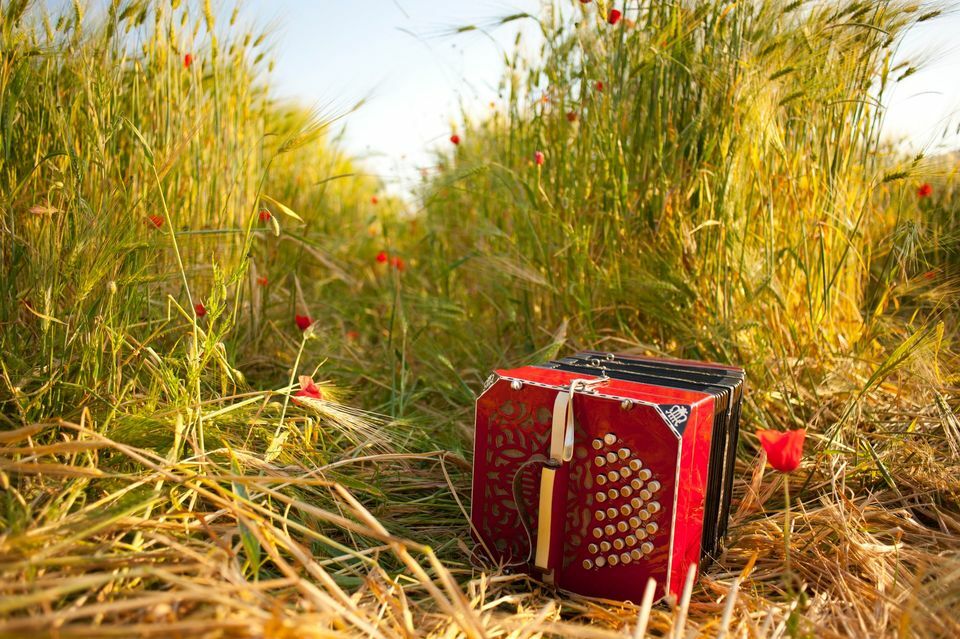 Accordions and bandoneons exhibition - Alain Millet