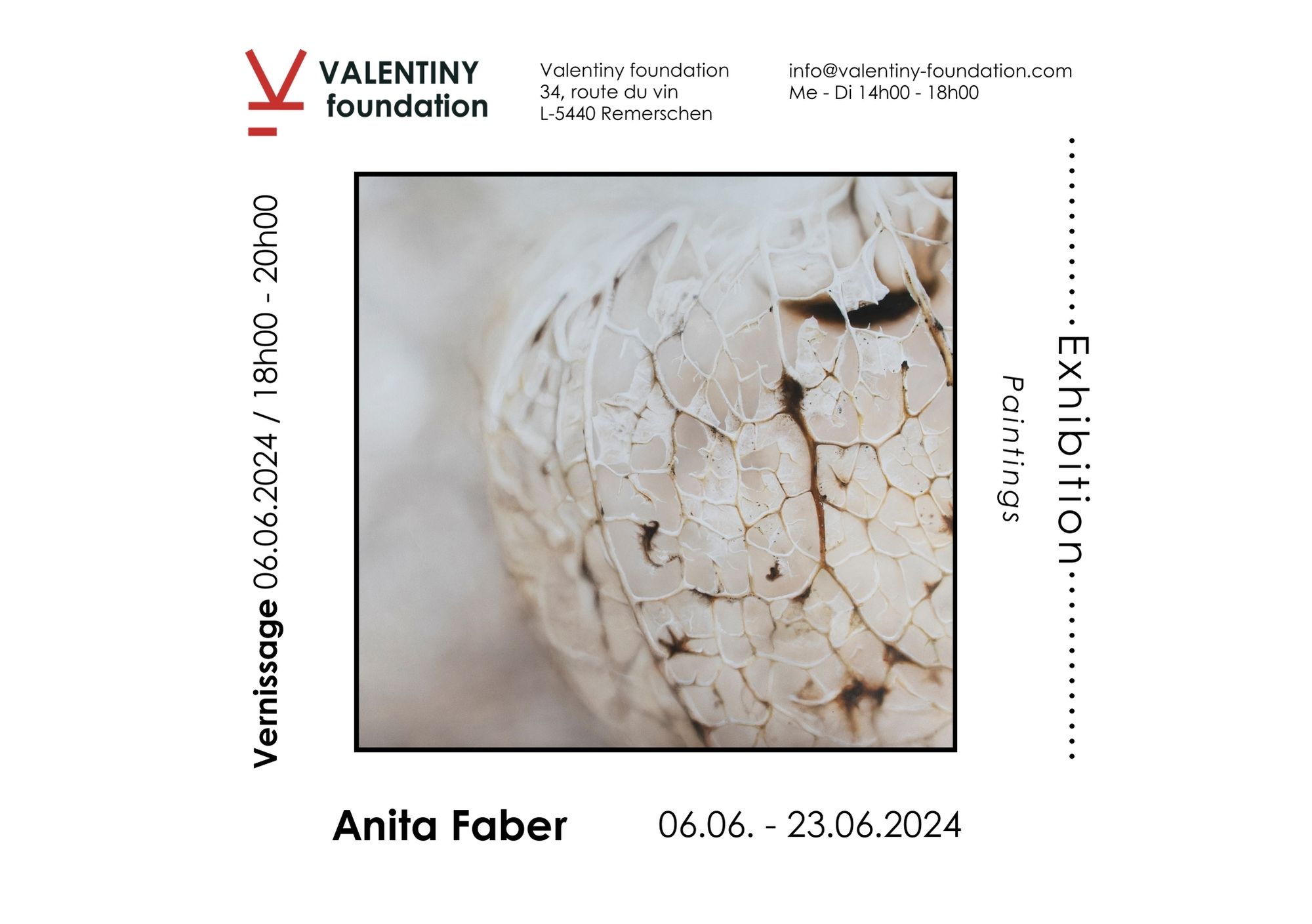 Exhibition of Anita Faber