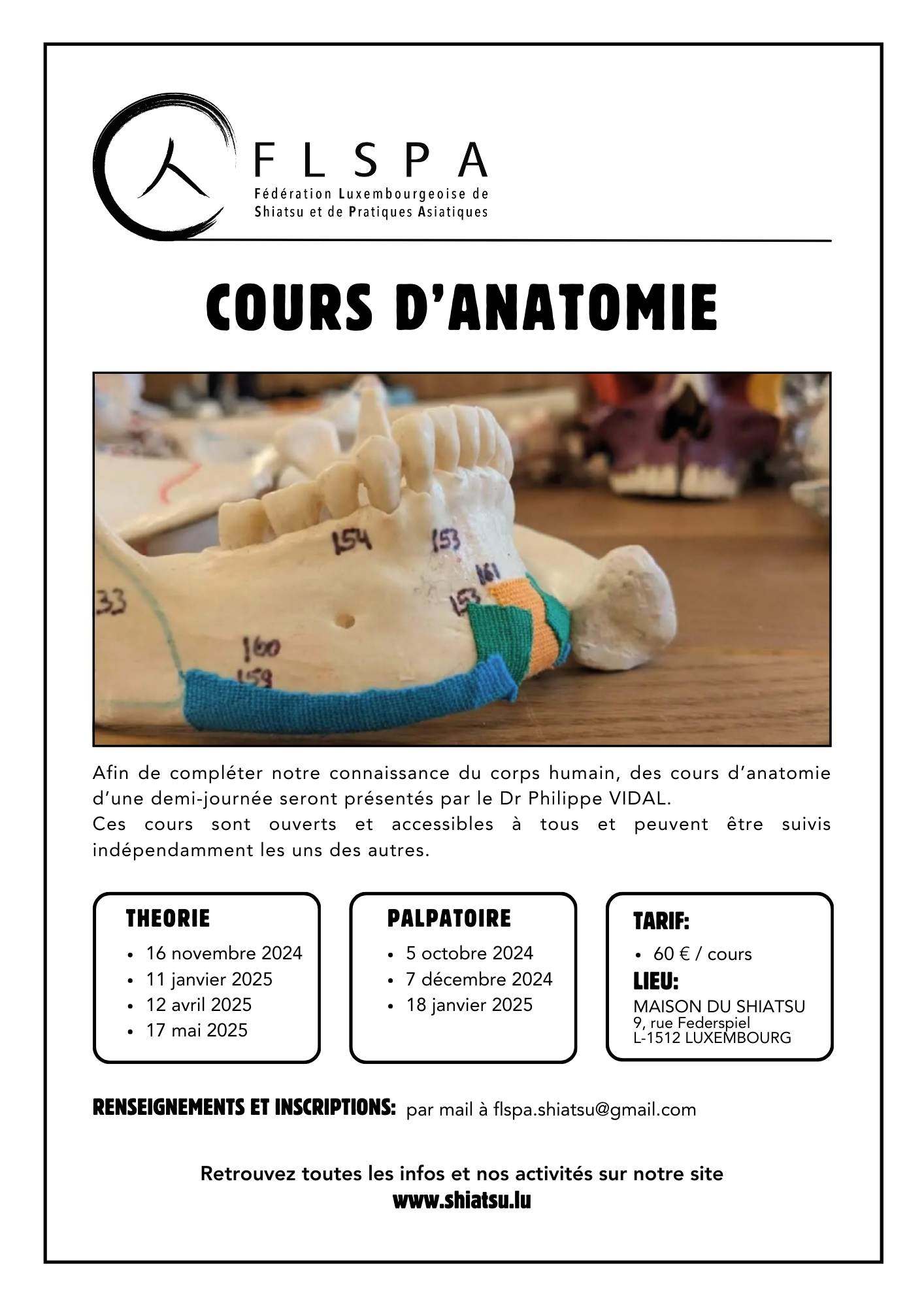 Cours d'anatomie (théorie)