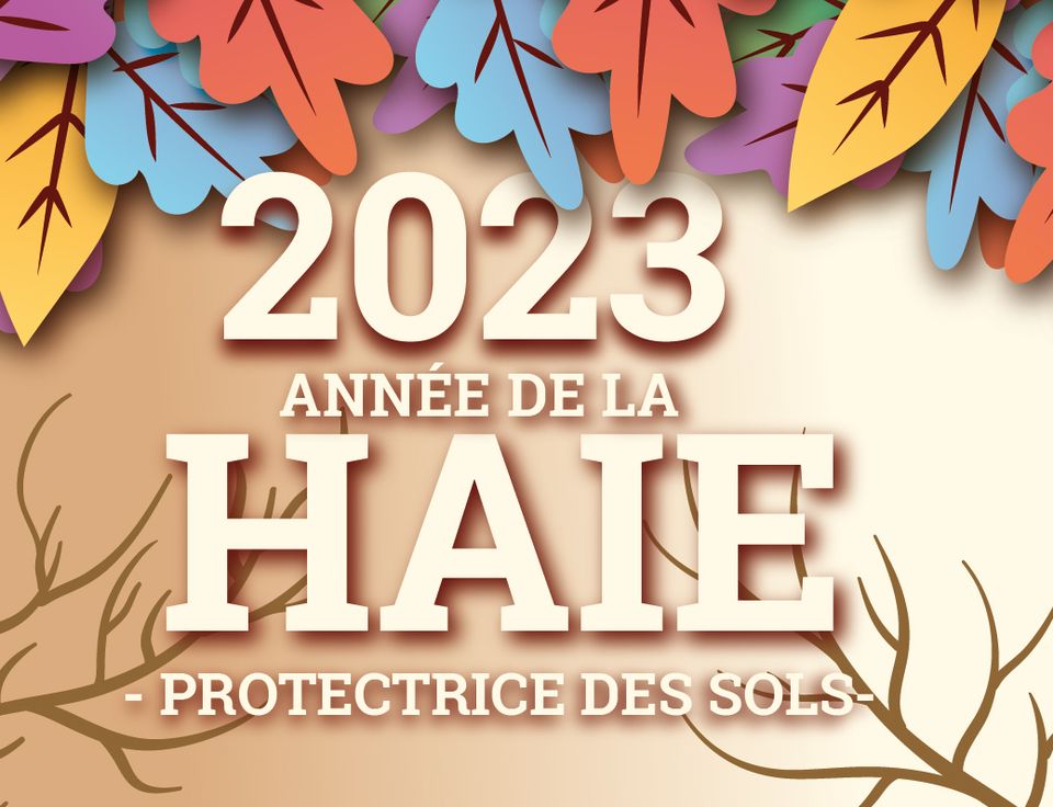 Distribution de plants de haie