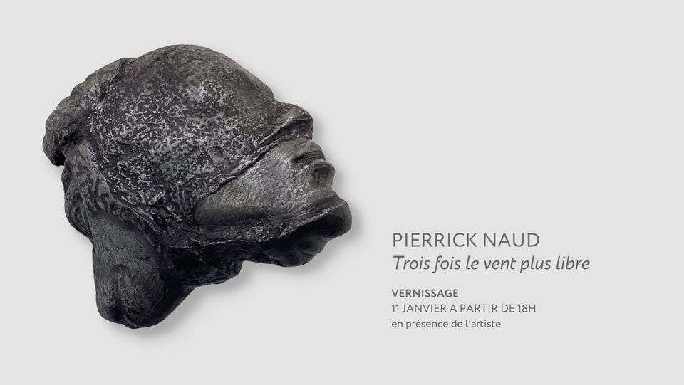 Vernissage Pierrick naud