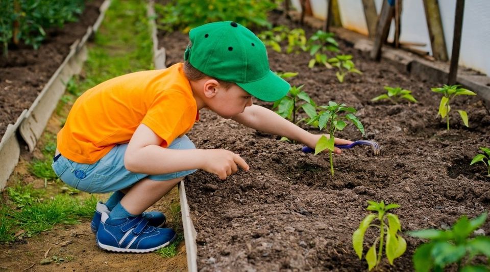 The little gardener