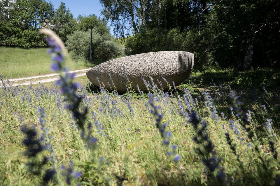 Walks to discover medicinal plants