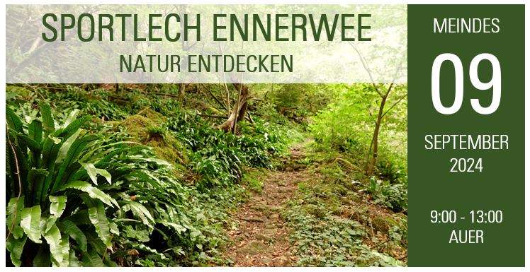 Sporty travel - discover nature in Schengen