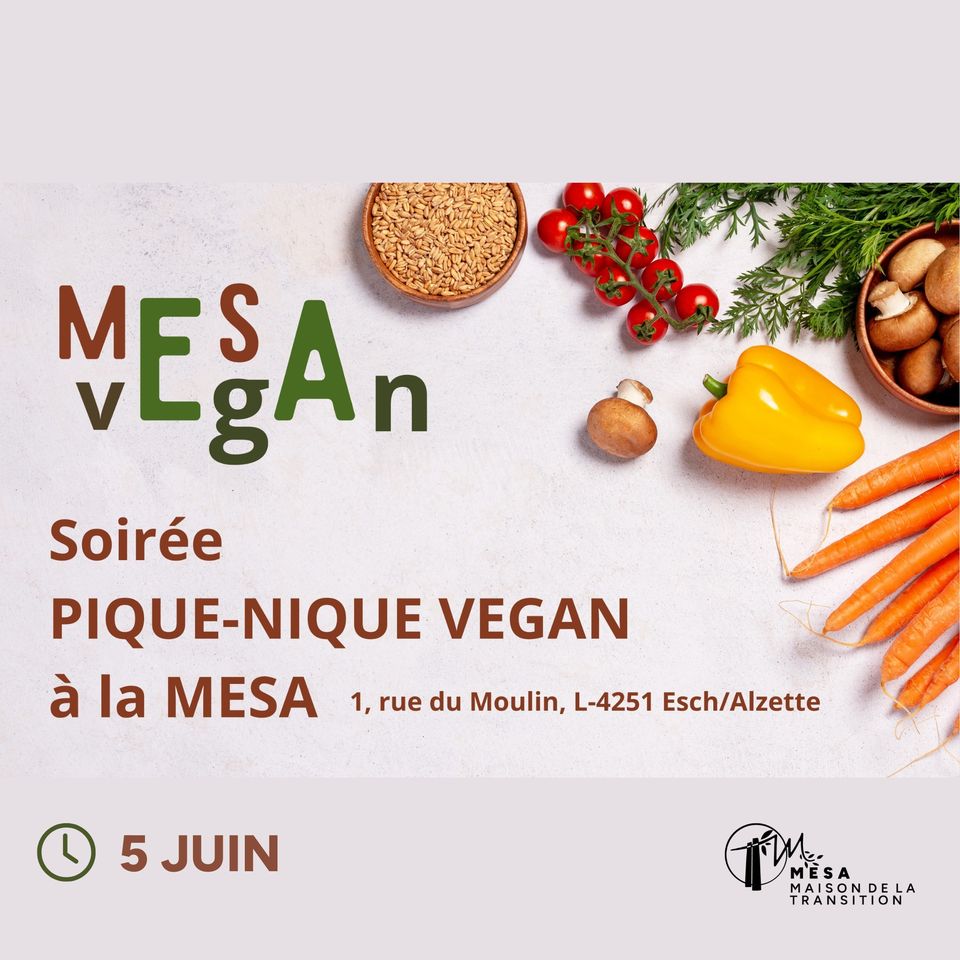 Soirée pique-nique vegan