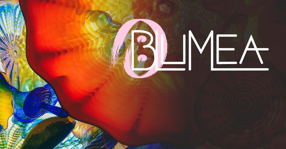 Blumea - concert