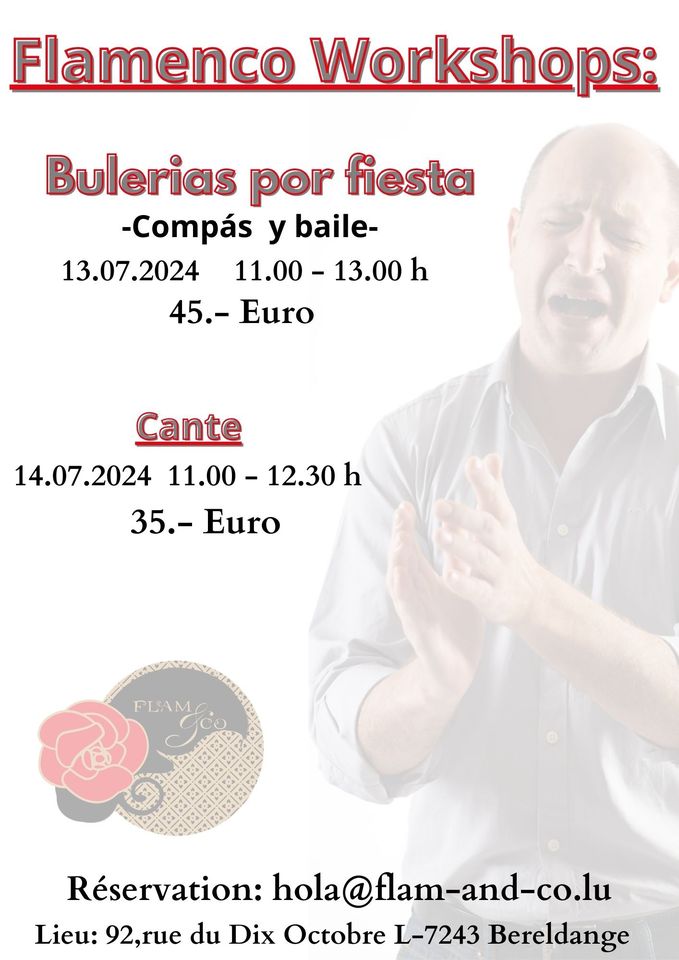 Bulerias por Fiestas avec David Moran El Gamba