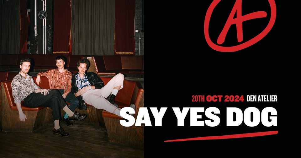 Say Yes Dog - concert