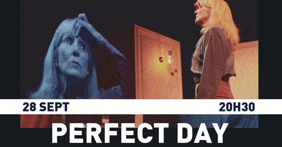 Théâtre : Perfect Day