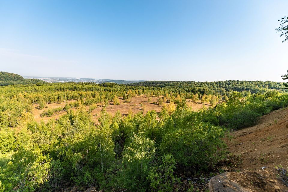 Minett Trail Differdange - Pétange