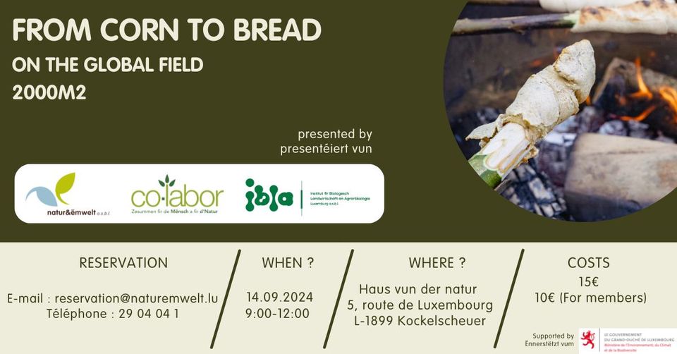 Workshop: From grain to bread