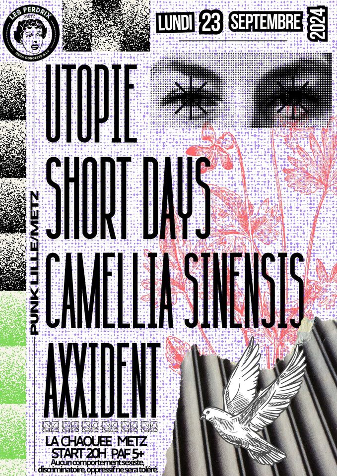 PERDRIX#4: Utopie + Short days + Camellia Sinensis + Axxident