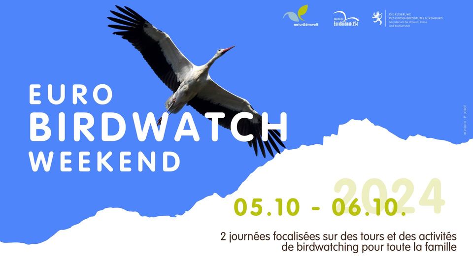 Euro Birdwatch 2024 | par natur&ëmwelt