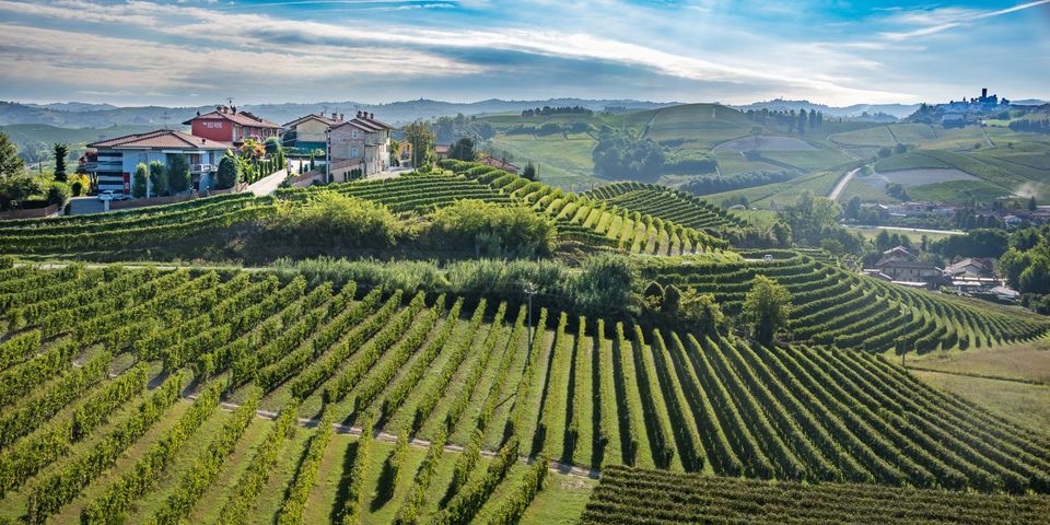 Meet the Producers: Tasting of DonnaFugata Wines with the Producer Present