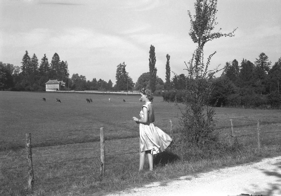 Exposition De L'Air