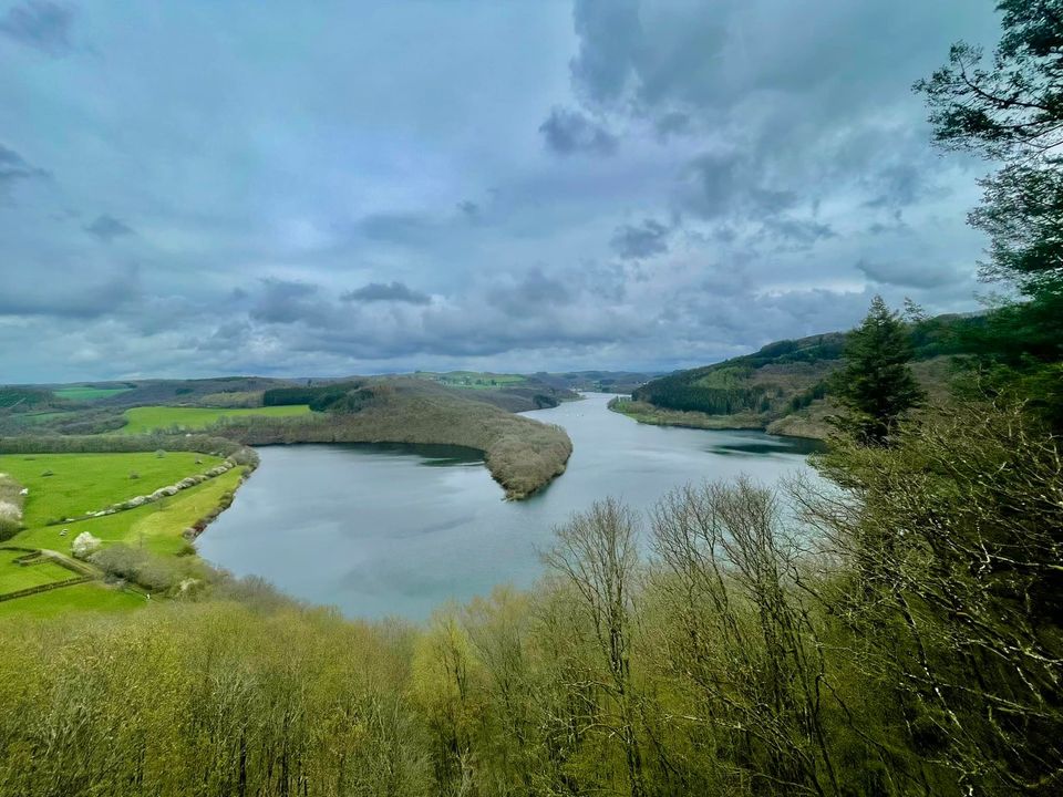 Lac de la Haute Sûre