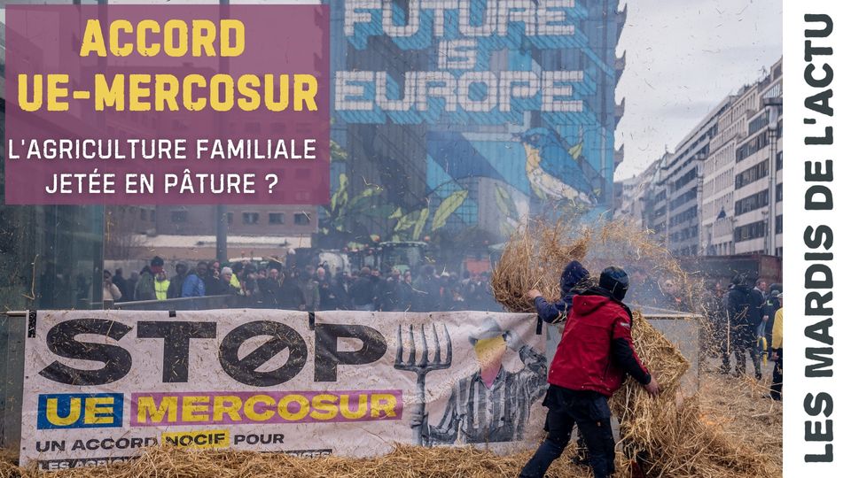 Conference - EU-Mercosur Agreement: is family farming thrown to the wolves?