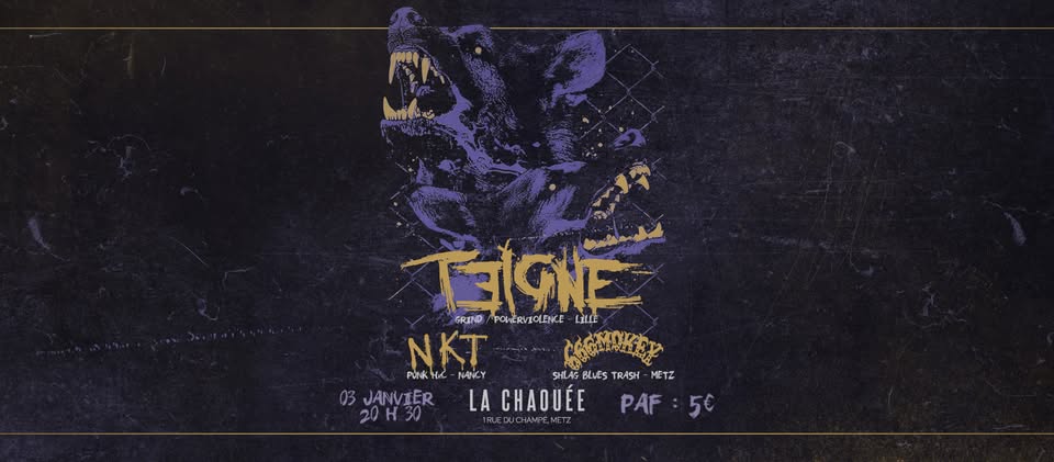 Teigne (Grind/Powerviolence - Lille) + NKT (PUNK HxC - Nancy) + 666mokey (Shlaggg blues trash )