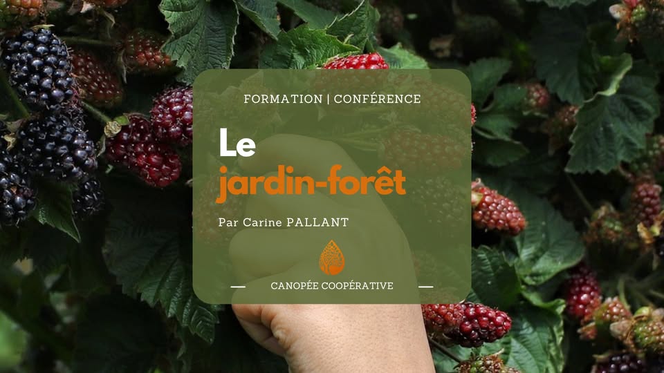 Conférence Le jardin-forêt