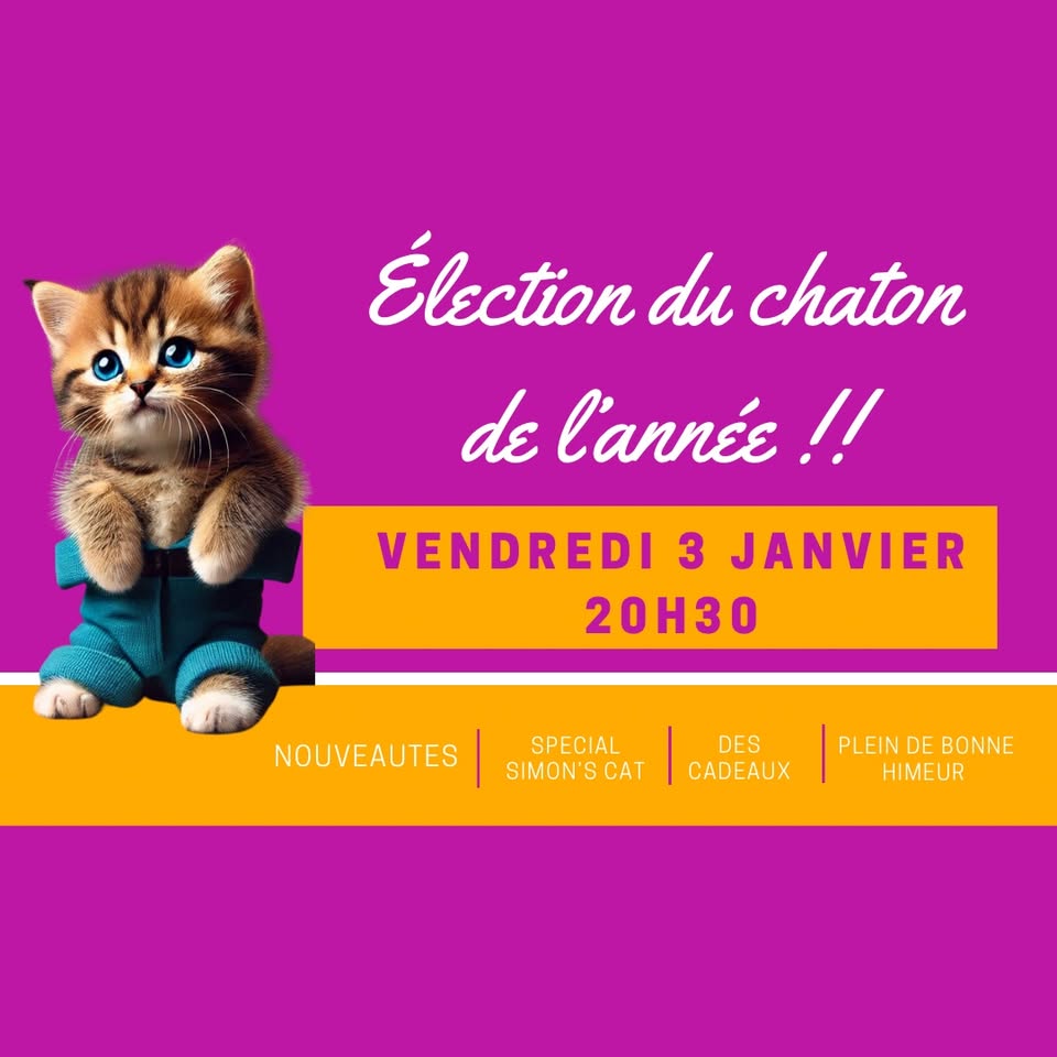 Élection du chaton de l’année 2025