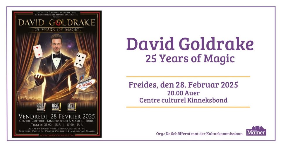 David Goldrake - 25 Years of Magic