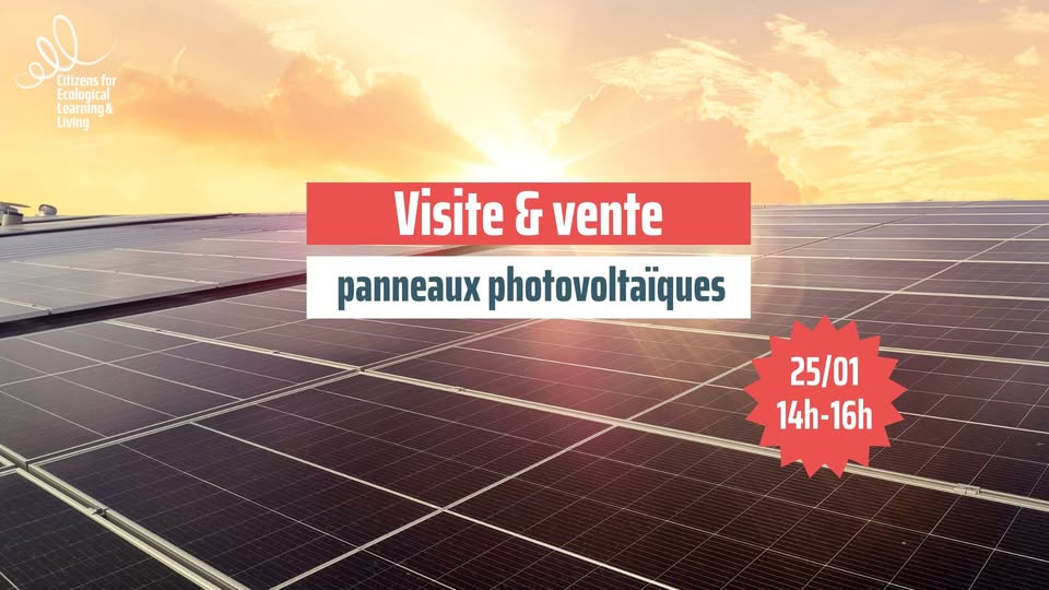 L'énergie solaire : découverte & vente de panneaux photovoltaïques d’occasion